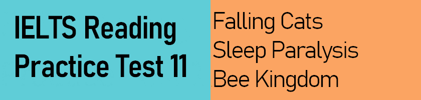 IELTS Reading Practice Test 11 - Falling Cats, Sleep Paralysis, Bee Kingdom - with answers, explanations and helpful vocabulary