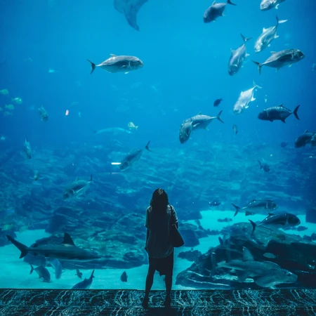 a woman standing right in front of a huge of an indoors aquarim with various fish in inside 